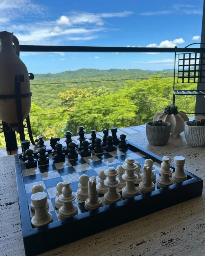A chessboard sits on a terrace overlooking green wooded hills.